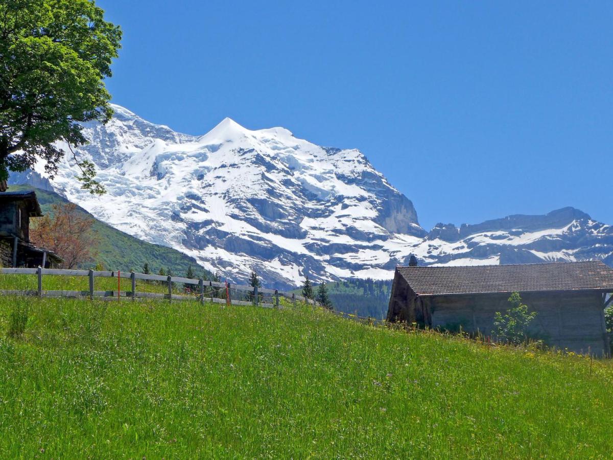 Apartment Tschingelhorn By Interhome Wengen Exterior photo