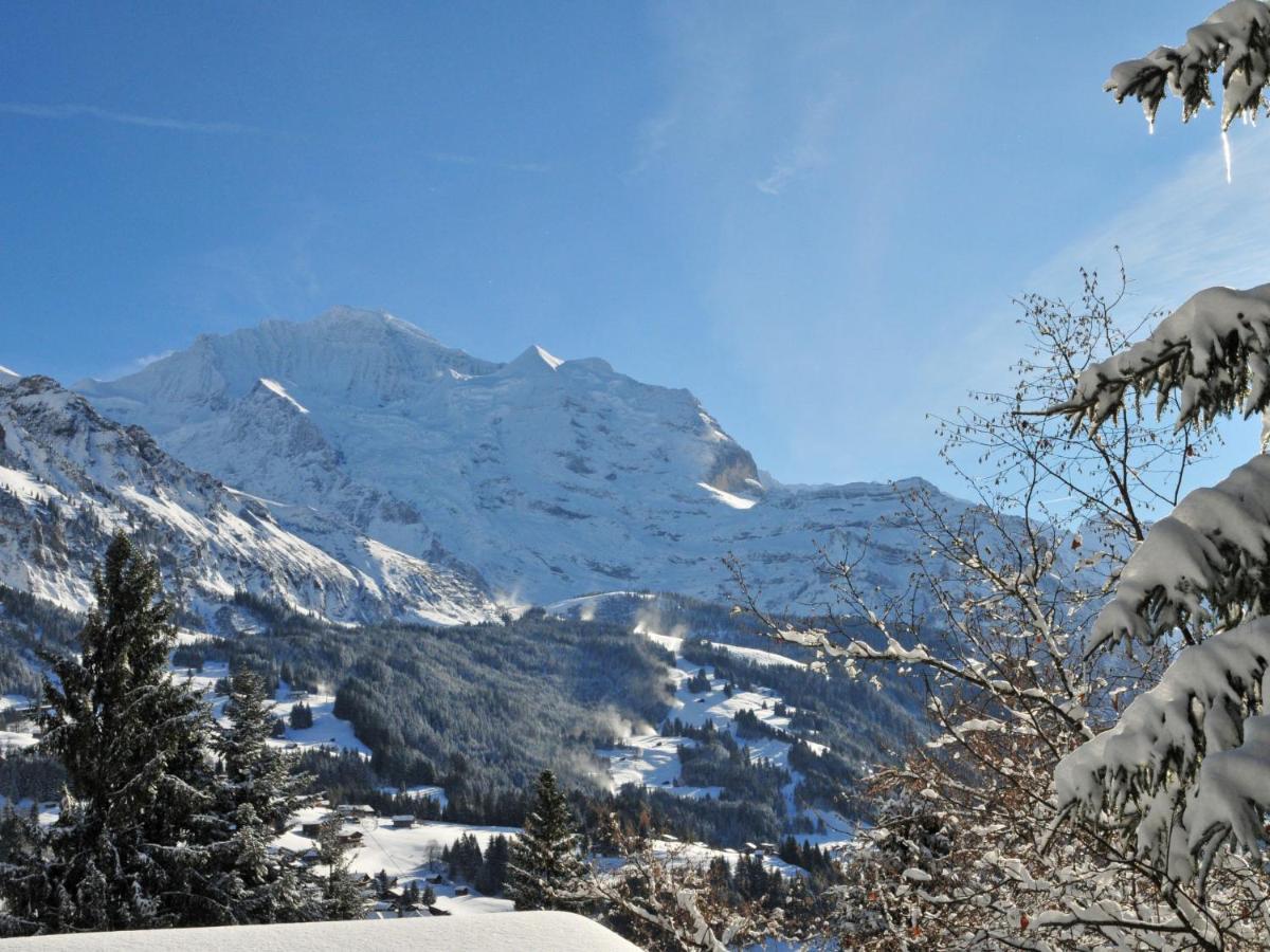 Apartment Tschingelhorn By Interhome Wengen Exterior photo